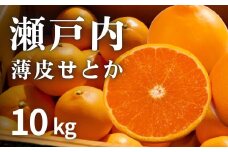 [予約] 2月発送 濃厚! 果汁たっぷり薄皮ハウスせとか 約10kg(35個程度)　広島県 大崎上島町 瀬戸内 柑橘 果物 フルーツ 贈答 ギフト