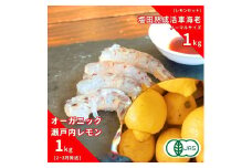 [予約] オーガニック瀬戸内レモン 1kg(2~3月発送) / 塩田熟成活車海老 ノーマルサイズ 1kg(11~2月発送) オーガニック 有機レモン 有機JAS 果汁100% レモン えび エビ エビフライ 晩酌 国産 瀬戸内 濃厚 甘さ控えめ 免疫力向上 健康 ビタミンC クエン酸 抗酸化 ソーダ 炭酸水