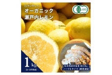 [予約] オーガニック瀬戸内レモン 1kg(2~3月発送) / 塩田熟成活車海老 ノーマルサイズ 250g(瞬間凍結) オーガニック 有機レモン 有機JAS 果汁100% レモン えび エビ エビフライ 晩酌 国産 瀬戸内 濃厚 甘さ控えめ 免疫力向上 健康 ビタミンC クエン酸 抗酸化 ソーダ 炭酸水
