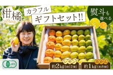 島の宝石箱！瀬戸内 旬の柑橘カラフルギフトセット ( レモン 約2kg /みかん 約1kg ) 11月〜12月発送 果物 国産 せとうち 広島 大崎上島 産地直送 ふじやファーム
