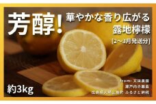芳醇! 文田農園のレモン 約3kg 2~3月発送 瀬戸内 広島 大崎上島 離島 柑橘 檸檬 露地栽培 果物 フルーツ 贈答用 ギフト 送料無料 産地直送