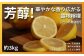 [2~3月発送] 芳醇! 文田農園のレモン 約3kg 瀬戸内 広島 大崎上島 離島 柑橘 檸檬 露地栽培