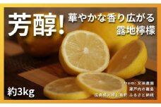芳醇! 文田農園のレモン 約3kg 1~2月発送 瀬戸内 広島 大崎上島 離島 柑橘 檸檬 露地栽培 果物 フルーツ 贈答用 ギフト 送料無料 産地直送