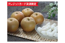 No.024 世羅産「豊水梨」ファミリー用　約5kg ／ フルーツ 果物 ナシ なし 不揃い 広島県
