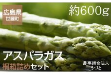 No.025 アスパラガス桐箱詰めセット　約600g ／ 野菜 グリーンアスパラ JGAP認証農場 広島県