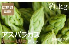 No.026 アスパラガス段ボール詰めセット　約1kg ／ 野菜 グリーンアスパラ JGAP認証農場 広島県