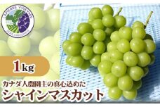 No.055 【カナダ人農園主の真心を込めた】シャインマスカット約1kg ／ 果物 フルーツ 葡萄 ブドウ ぶどう 広島県