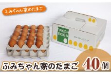 No.059 ふみちゃん家のたまご　40個入 ／ 卵 タマゴ 玉子 新鮮 広島県