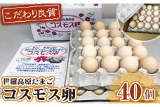 No.088 コスモス卵ピンク　40個 ／ たまご タマゴ 新鮮 広島県