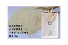 No.125 コシヒカリ（精米） 10kg ／ お米 こしひかり 一等米 広島県
