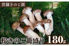 No.145 松きのこ籠盛り　約180g ／ キノコ 世羅ブランド品 広島県