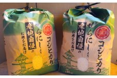 No.150 世羅町産コシヒカリ5kg×2袋 ／ お米 白米 精米 こしひかり 広島県