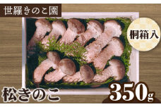 No.152 松きのこ　約350g（桐箱入り） ／ キノコ 世羅ブランド品 広島県