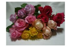 No.155 バラ15本のミックスブーケ ／ 花 花束 広島 特産品