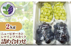 No.163 世羅産　ニューピオーネとシャインマスカット詰め合わせ約2kg ／ 果物 フルーツ 葡萄 ブドウ 広島県