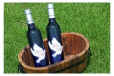 No.165 【世羅町産ブドウの日本ワイン】せらワイン「AOーアオー」2本セット ／ お酒 白ワイン 辛口 ブドウ 葡萄 広島県