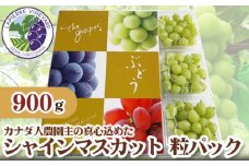 No.181 【カナダ人農園主の真心を込めた】シャインマスカット粒パック約0.9kg ／ 果物 フルーツ 葡萄 ブドウ 広島県