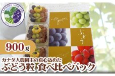 No.182 【カナダ人農園主の真心を込めた】ぶどう粒食べ比べパック約0.9kg ／ 果物 フルーツ 葡萄 ブドウ 広島
