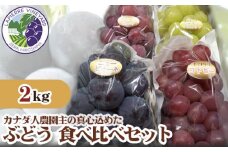 No.205 【カナダ人農園主の真心を込めた】ぶどう食べ比べセット約2kg ／ 果物 フルーツ 葡萄 ブドウ 詰め合わせ 広島県