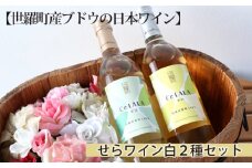 No.239 【世羅町産ブドウの日本ワイン】せらワイン白２種セット ／ お酒 白ワイン 甘口 辛口 広島県