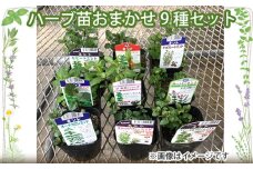 No.252 ハーブ苗おまかせ9種セット ／ 農場直送 新鮮 セレクト 広島県 特産品