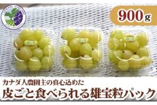No.260 【カナダ人農園主の真心を込めた】皮ごと食べられる雄宝粒パック　約0.9kg ／ 葡萄 ブドウ 果物 フルーツ 広島県 特産品