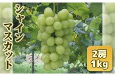No.272 シャインマスカット　2房1kg ／ フルーツ くだもの 果物 ブドウ ぶどう 葡萄 広島県