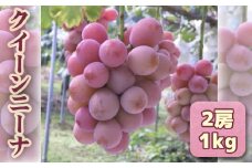 No.273 クイーンニーナ　2房1kg ／ フルーツ くだもの 果物 ブドウ ぶどう 葡萄 広島県