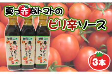 No.286 真っ赤なトマトのピリ辛ソース3本 ／ 調味料 ピリ辛 とまと 酸味 世羅菜園 広島県