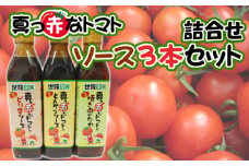 No.288 真っ赤なトマトソース3本詰合せセット ／ 調味料 ピリ辛 たれ とまと 酸味 世羅菜園 広島県