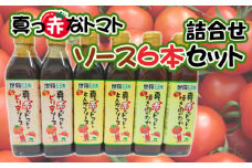 No.290 真っ赤なトマトソース6本詰合せセット ／ 調味料 ピリ辛 たれ とまと 酸味 世羅菜園 広島県