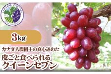 No.312 【カナダ人農園主の真心を込めた】皮ごと食べられるクイーンセブン約3kg ／ 葡萄 ブドウ ぶどう 果物 フルーツ 新鮮 広島県 特産品