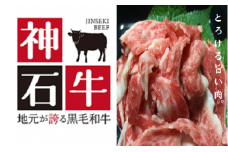[A-12]神石牛小間切れセット