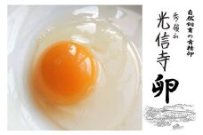 自然飼育の有精卵「光信寺卵」30個×6カ月定期便