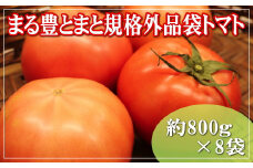 まる豊とまと規格外品袋トマト（800g×8袋）