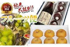 【びんご圏域連携】地元太鼓判フルーツ便（世羅なし・沼隈ぶどう・竹原キャンベル）
