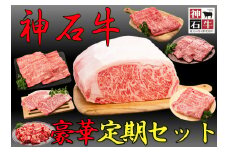 神石牛　ステーキ・焼肉・薄切り・ブロック 豪華定期セット