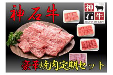 4月～9月神石牛　焼肉 豪華定期セット