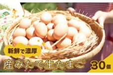 たまご 卵 30個 ( 26個 ＋ 割れ保障 4個 ) 玉子 産みたて たまご 鶏卵 卵料理 生卵 玉子焼き 国産 玉子 新鮮 卵かけご飯 大容量 生 卵 鶏 天然 すき焼き 目玉 焼き おかず お弁当 下関 豊北  山口