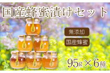 はちみつ 国産 蜂蜜漬け セット 570g( 95g×6種 ) 山口県産 下関