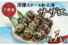 サザエ 約1kg 7～12粒 特大サイズ 刺身 冷凍 スチーム加工 包装 レンジ で チンするだけ 下関 阿川 漁協 コラボ 産地直送 貝