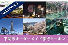 オーダーメイド 旅行 クーポン 300,000円分 １枚 旅のコンサルティング パッケージ チケット 下関市 山口県 観光 宿泊券 唐戸市場 角島 関門海峡