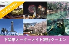 オーダーメイド 旅行 クーポン 30,000円分 １枚 旅のコンサルティング パッケージ チケット 下関