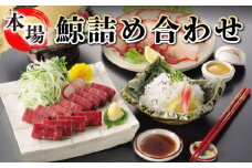 鯨 詰め合わせ くじら クジラ ベーコン 刺身 さえずり セット