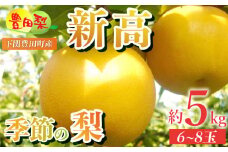 【先行予約】 梨 5kg セット 6~8玉 大玉 ご家庭用 なし 新高 にいたか ご自宅用 緩衝材 キャップ 付き フルーツ 季節 旬 果物 期間 数量 限定 10月 豊田の梨 豊田町 山口 人気 下関 秋 