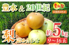 梨 5kg セット 9~16玉 なし 二十世紀 20世紀 豊水 詰め合わせ 緩衝材 キャップ 付き フルーツ 果物 期間 限定 8月~9月 豊田の梨 豊田町 山口県産 下関 ギフト 贈答