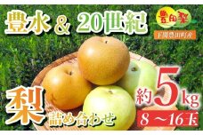 梨 5kg セット 8~16玉 なし 二十世紀 20世紀 豊水 詰め合わせ 緩衝材 キャップ 付き フルーツ 果物 期間 限定 8月~9月 豊田の梨 豊田町 山口県産 下関 ギフト 贈答