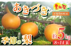 【先行予約】梨 5kg セット 8~14玉 ご家庭用 なし あきづき 秋月 ご自宅用 緩衝材 キャップ 付き フルーツ 季節 旬 果物 期間 数量 限定 9月 豊田の梨 豊田町 山口 人気 下関 夏 秋