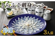 ふぐ 刺身 セット 3人前 100g 冷凍 高級魚 とらふぐ てっさ ひれ 低カロリー 高タンパク 低脂肪 コラーゲン 皮 ポン酢 もみじ 付き プラ皿 下関 山口 ヤマモ水産 KT03t
