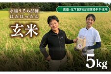 玄米 5kg  新米 精米可 白米 山口 県産 うるち 有機栽培 栽培期間中 農薬 化学肥料 不使用  はたはったん 下関 秋 季節